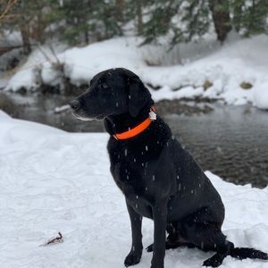 Meet your Posher, Ben